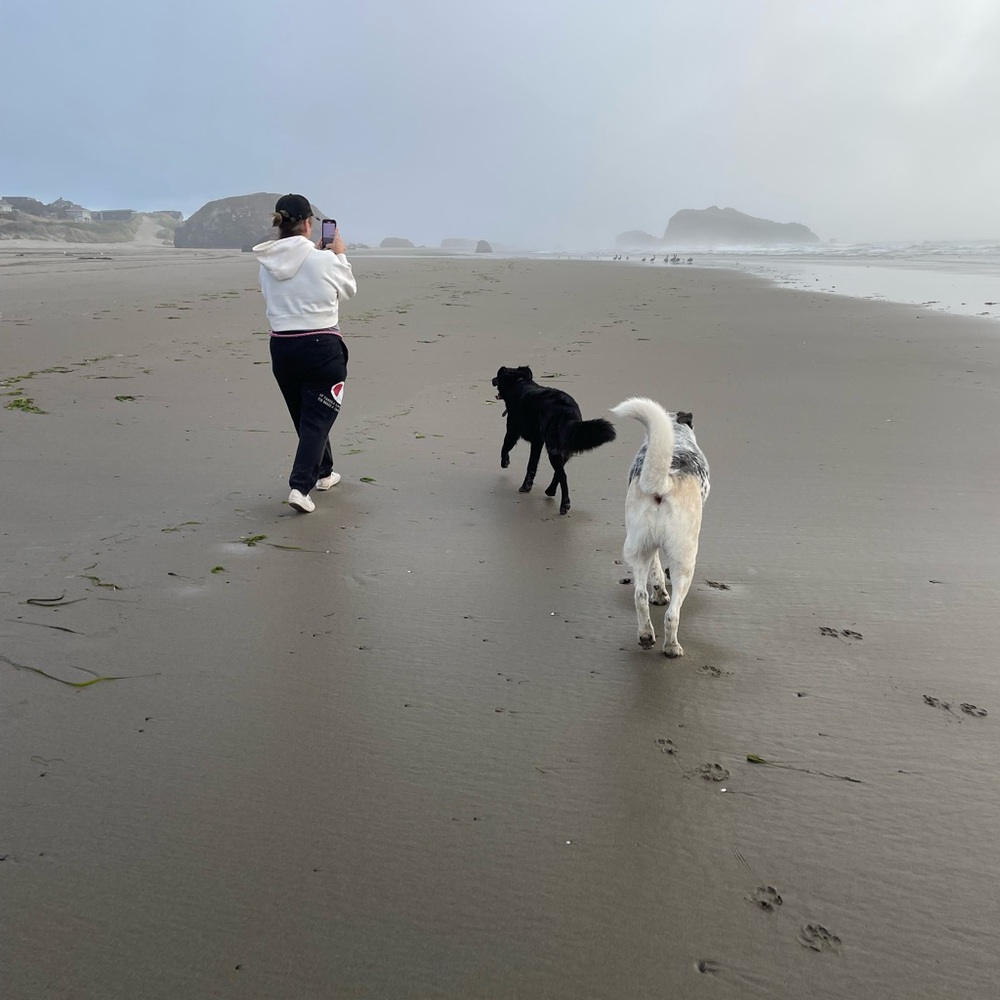 Meet your Posher, Vikki